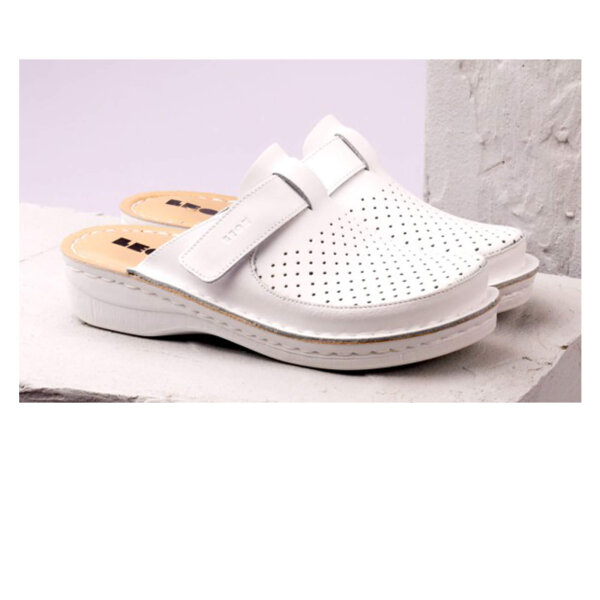 ANATOMISCHE CLOGS