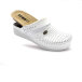 5002_WHITE