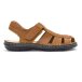 P2327_BROWN