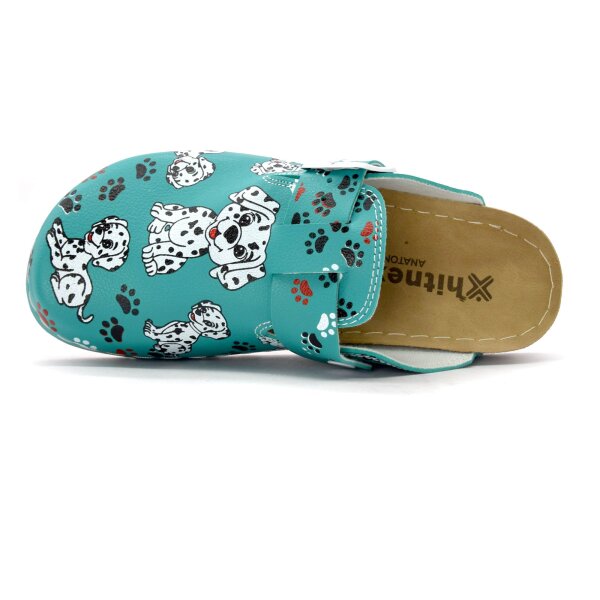 ANATOMISCHE CLOGS