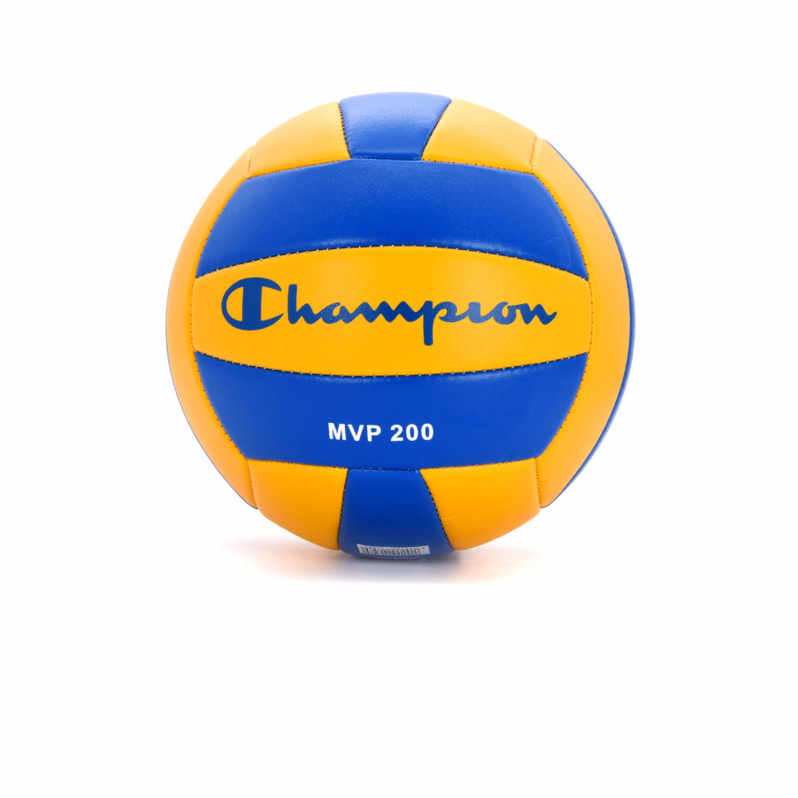 VOLLEYBALL-MEISTERBALL1