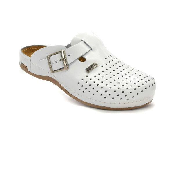 ANATOMISCHE CLOGS
