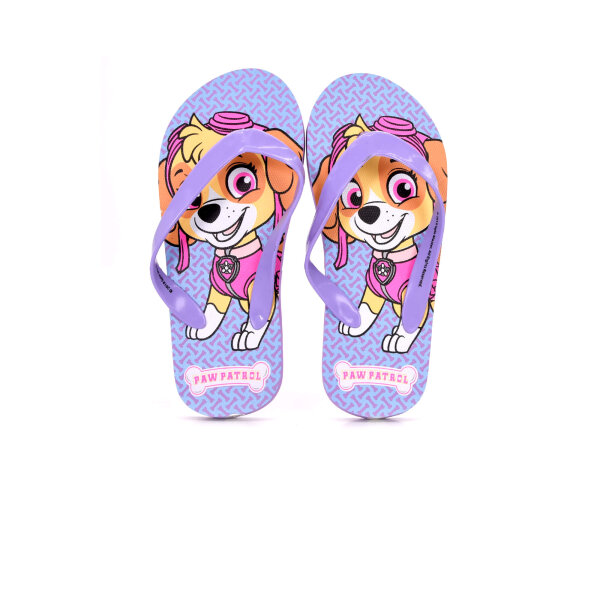 FLIP FLOPS PSICI