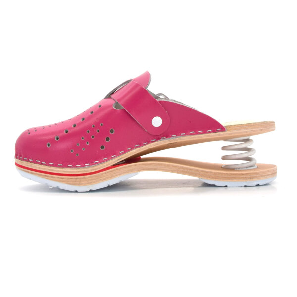 FEDER-CLOGS