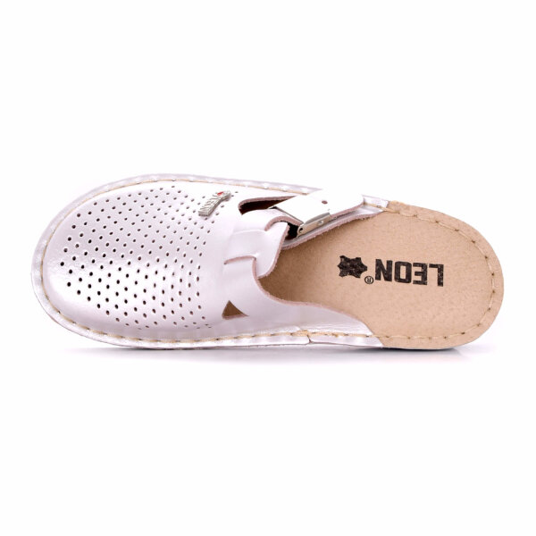 ANATOMISCHE CLOGS