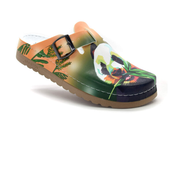 ANATOMISCHE CLOGS