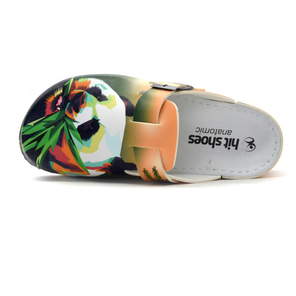 ANATOMISCHE CLOGS