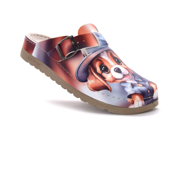 ANATOMISCHE CLOGS